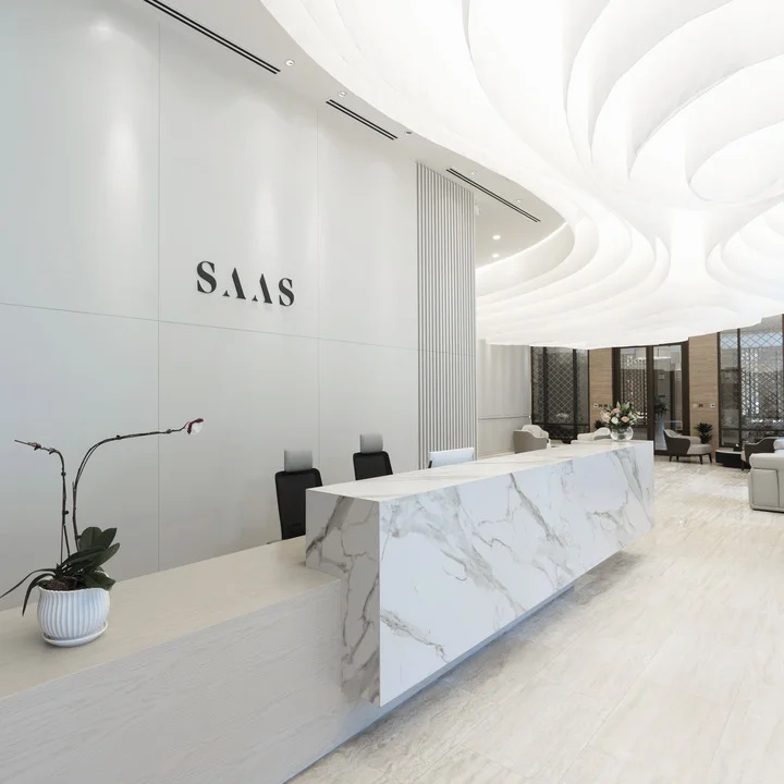 SAAS Properties project sample 1